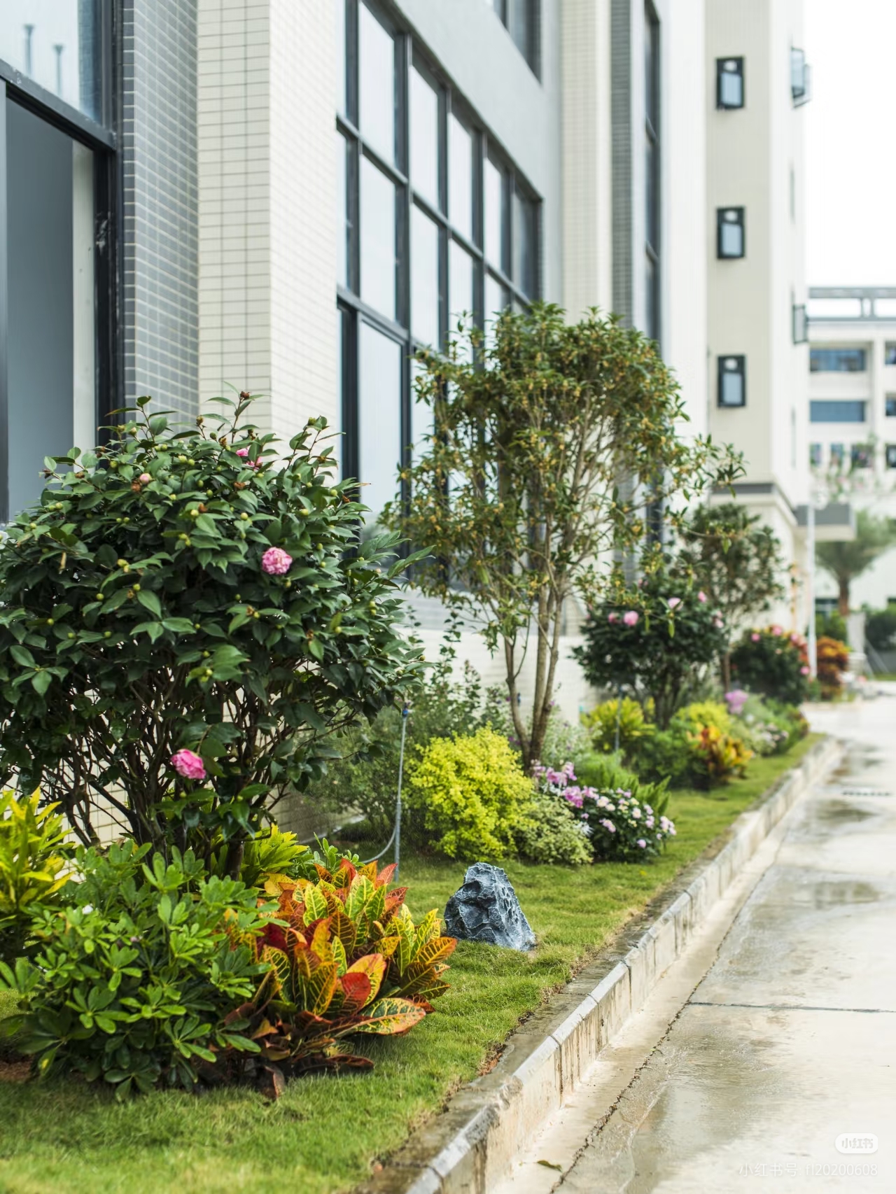 厂区绿化工程案例